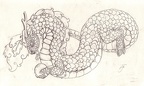 lung