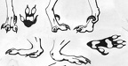 toes