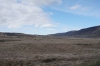 DSC01090